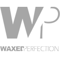 wp admin logo