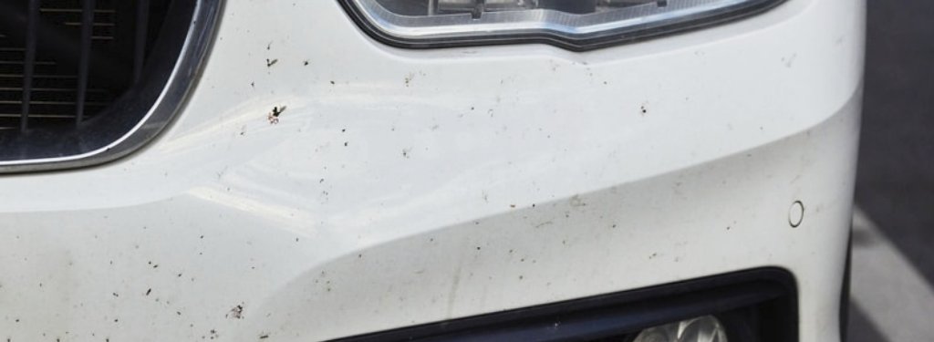 bird droppings ruin the look of your vehicle