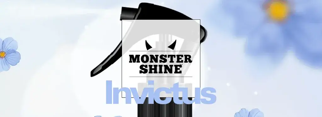 Review: Monstershine Car Care Air Freshener